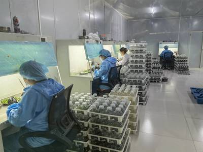 技術推廣服務 推動創(chuàng)新落地與產業(yè)升級